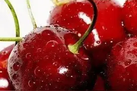 小小樱桃，竟会让人中毒？！图片