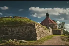 纯音乐《Lion Heart》，还挺欢快的图片