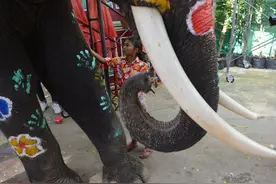 （外代一线）（1）泰国：迎接“宋干节”图片