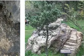 如何简易分辨喀斯特地区白云岩和石灰岩图片