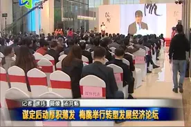谋定后动厚积薄发 梅陇举行转型发展经济论坛视频封面