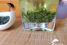 真假“崂山绿茶”市场调查：专家支招如何分辨图片