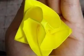 折纸玫瑰花教程分享 教你如何折玫瑰花图片