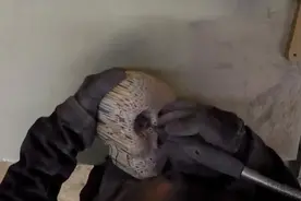 木工小伙用铅笔打造的窟窿头，看了真佩服有这种创意