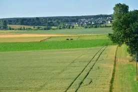 河北人速看！农村土地确权完毕还没拿到证？权威部门给你解答图片