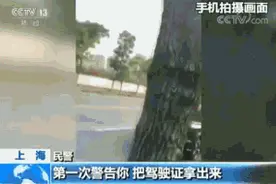 这段警察执法视频火了 网友点赞“教科书式执法”图片