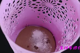 夏天垃圾桶里经常会有飞虫怎么办？今天教你一招轻松解决难题！视频封面