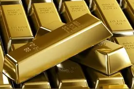 京东白条升级版金条面世 与银行共同授信图片