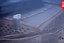 爆笑GIF：姑娘听歌都拔剑了，实在是太难听了！图片