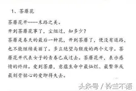 开到荼靡花事了，尘烟过，知多少？你可知这十朵花的故事！图片