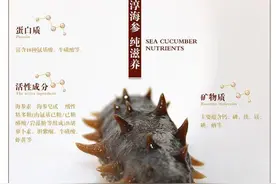 史上最全“海参”食疗秘方（部分秘方失传百年之久）图片