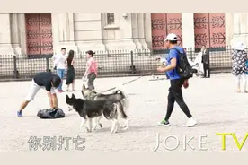 社会实验：中国街头虐待小狗测试路人反应图片