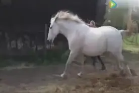 美女骑马，笑笑笑!图片