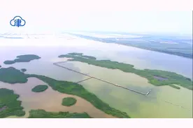 天津有个无人区 却成了世外桃源 美景和好空气让人羡慕那里的动物