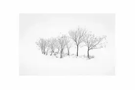 熟悉。陌生图片