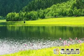 夏季香格里拉美不美 一组美图告诉你！图片