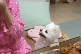 主人给我吃口炸鸡吧，求求你了图片