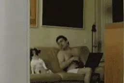 当狗狗第一次吃柠檬图片