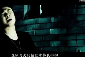 刀郎这首《冲动的惩罚》循环了几十遍，再也没有如此沧桑的声音图片