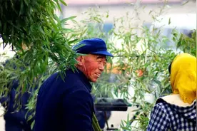 迎新春晒年俗沂蒙民俗：除夕赶年集 买青扎棚图片