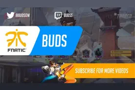 《守望先锋》职业战队 Fnatic 选手Buds第一人称视角图片