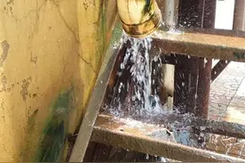 水管流出无名水 居民看了真心疼图片