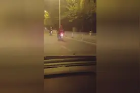 被遗弃的狗狗公路上狂奔追主人视频封面