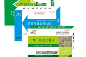 精华 | 猪只子宫内膜炎的全套治疗方案在这里图片