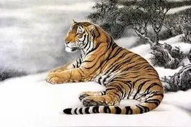 心机最深，爱抢男人的4大生肖女图片