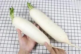 白萝卜大量上市，记住这4个挑萝卜方法，包你买到又鲜又脆的萝卜