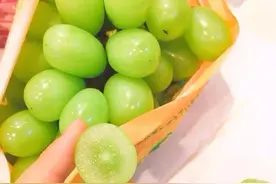 极品阳光玫瑰的秘密图片