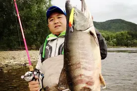 帝王蟹吃到吐，俄罗斯远东探钓大马哈，哲罗鲑！图片