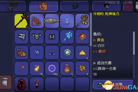 泰拉瑞亚pe肉后魔法武器排行榜 磁暴之球强势登顶图片