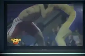 鲨鱼教你怎么看电视，厉害了