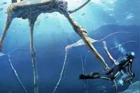 峻晨解说-美丽水世界#45-四百米深海发现海蚊子，神奇的生物