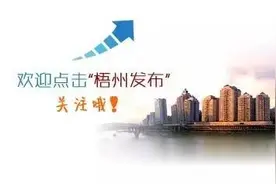 河东商圈没有规划，缺乏管理这样下去梧州连特色都没有了图片