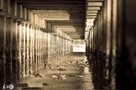 小说：我和朋友在密林中过夜，晚上听见动静，一睁眼，他被拖走了图片