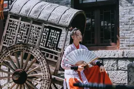 小说：家中肥妻有妙招，普通种子竟能卖出天价，众人羡慕疯了图片
