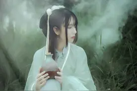 小说：草包嫡女手握三十万大军，世子想称王，勉强迎娶她，被她休图片