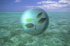 小说：小伙末世遇尸潮，手持机枪手雷，还有武装到牙齿的队友图片