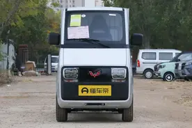 像被挤压拉高，2门1座，宽仅1.08米，来自五菱的快递小哥专用车图片