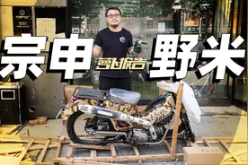 国内首批野米开箱报告｜照摩镜视频封面