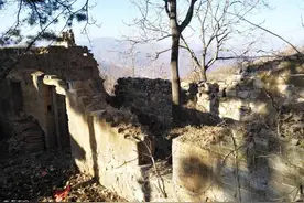 小说：大明之开局被卖到最强锦衣卫陆炳家当书童图片