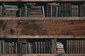 第四章 詹姆斯·费尼莫·库柏小说中的西行叙事图片