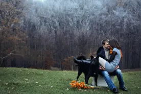 小说：当我成为极品贾张氏，我该如何应对。图片