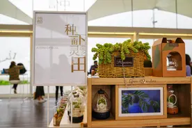 天真与经验图片