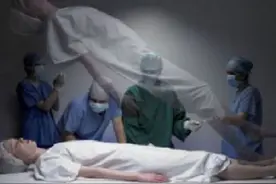 小说：女孩为了寻找真相，独自一人开启探险之旅，却迷了方向图片