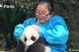 有耳朵和没耳朵的区别！看奶妈变魔术，熊孩子的耳朵哪儿去了？