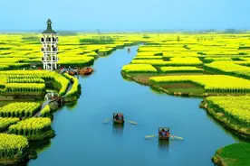 我真的爱你，真的想你，有一种想念，叫心不由己图片