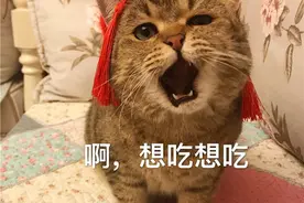 #宅家速食#一些值得囤货的方便美味，美食博主养成中图片